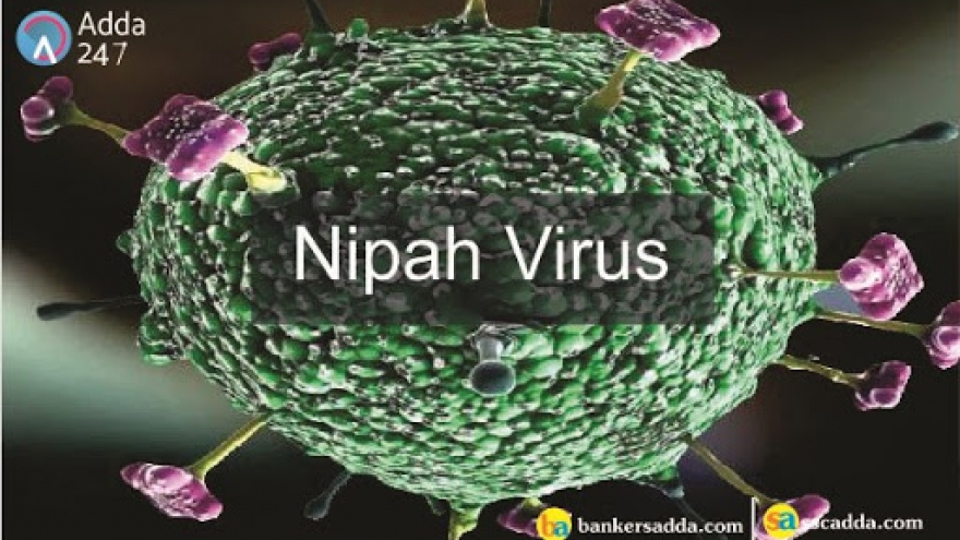 WHO cảnh báo virus Nipah có thể đột biến và gây ra đại dịch tiếp theo