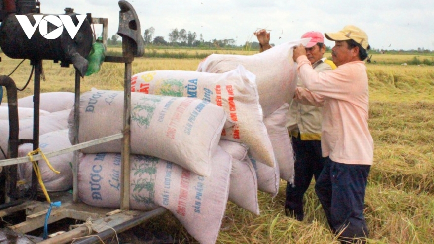 Vietnam urged to increase added value for rice industry