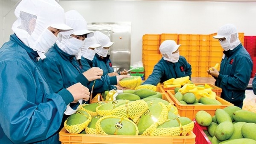 Vietnam records US$589 million trade surplus with the UK