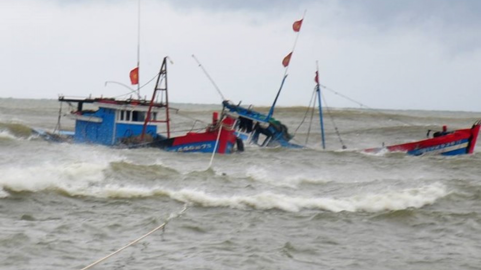 Tàu cá cùng 9 ngư dân bị tàu hàng đâm chìm trên biển, 2 người mất tích 