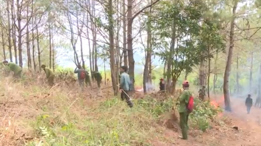 Đốt thực bì có kiểm soát ở Gia Lai để phòng chống cháy rừng
