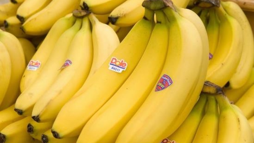 Export prices of Vietnamese bananas to EU market sees upturn 