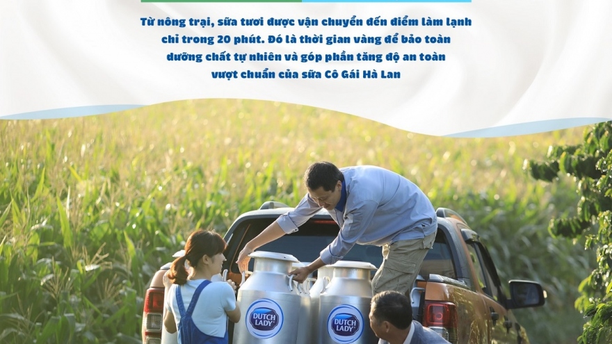 Quy trình sản xuất “từ đồng cỏ đến ly sữa” của Cô gái Hà Lan
