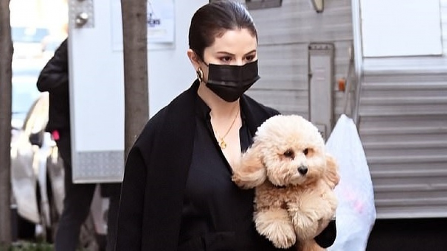 Selena Gomez mang thú cưng đến phim trường sau ồn ào giải nghệ
