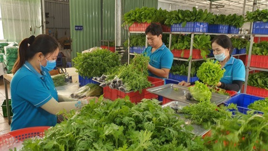 Agricultural cooperatives benefit hugely from investment in technology: experts