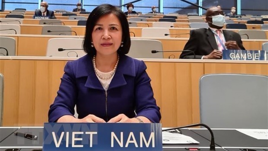 Vietnam highlights attainments in children, PWDs’ rights promotion