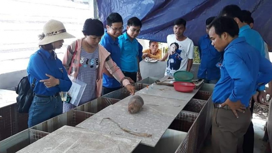 Trồng nấm, nuôi dúi giúp thanh niên Quảng Nam làm giàu