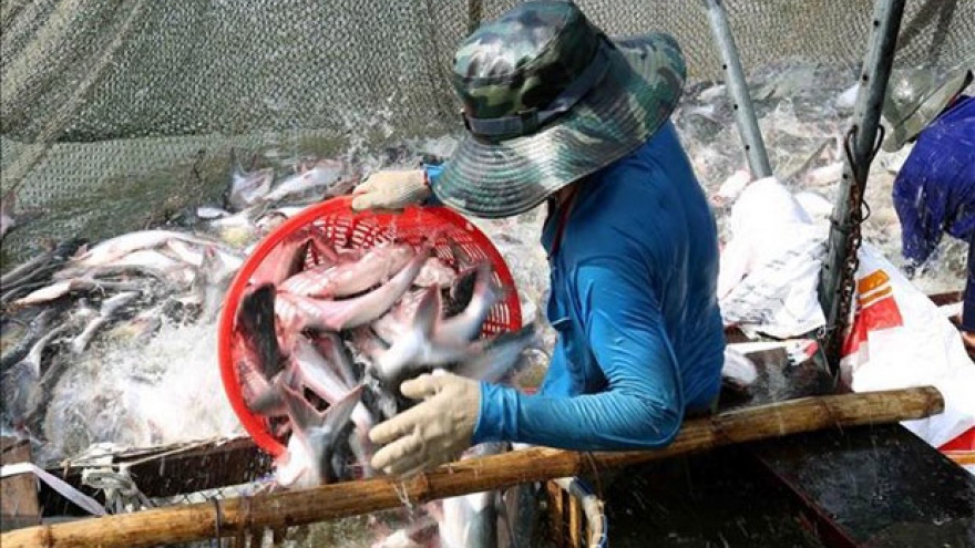 Aquatic exports rise 2.2% in two months