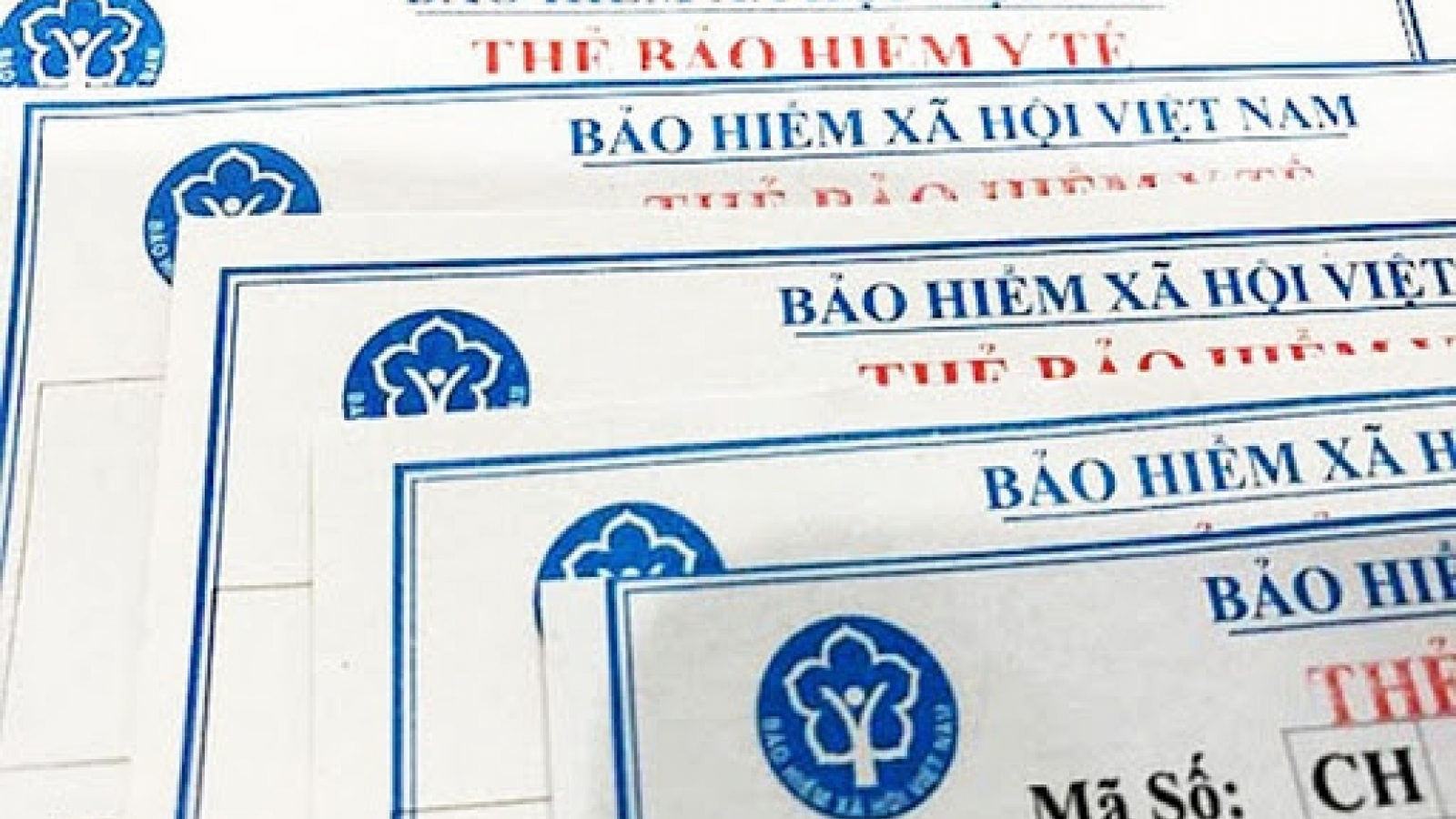 Đề nghị xử lý hình sự nhiều doanh nghiệp vi phạm về đóng bảo hiểm