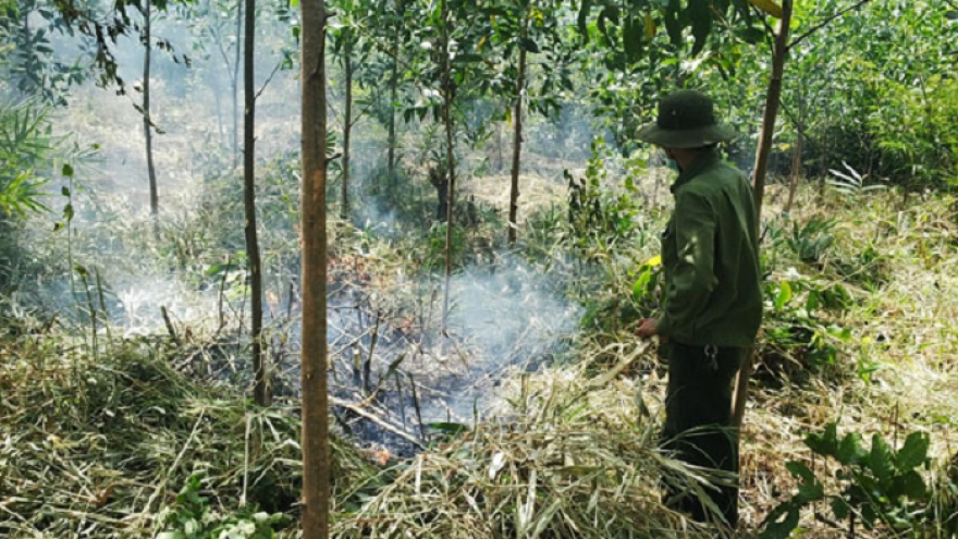 Đắk Lắk triển khai phòng, chống cháy rừng trong cao điểm mùa khô