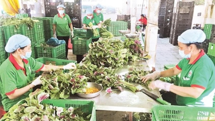 Cooperatives struggle to access COVID-19 support