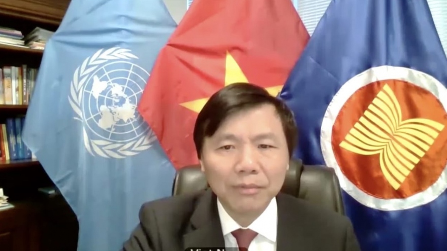 Việt Nam ủng hộ hoạt động của Phái bộ Gìn giữ Hòa bình tại Nam Sudan