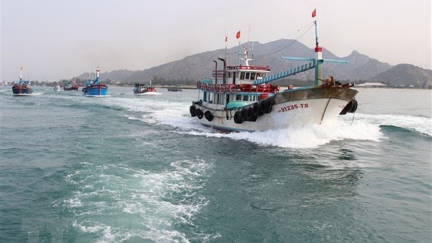 Vietnam making every effort to fight IUU fishing