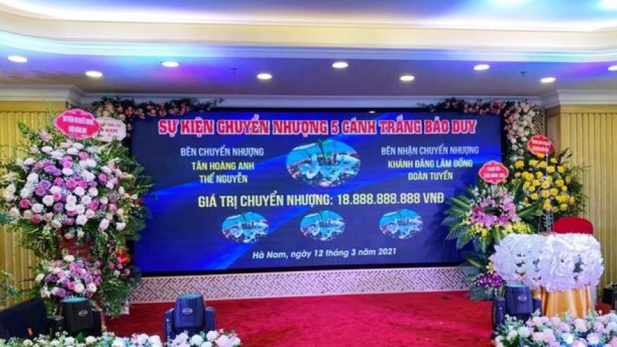 Cục Thuế Hà Nam: "99% vụ chuyển nhượng lan Bảo Duy gần 19 tỷ đồng là giả"