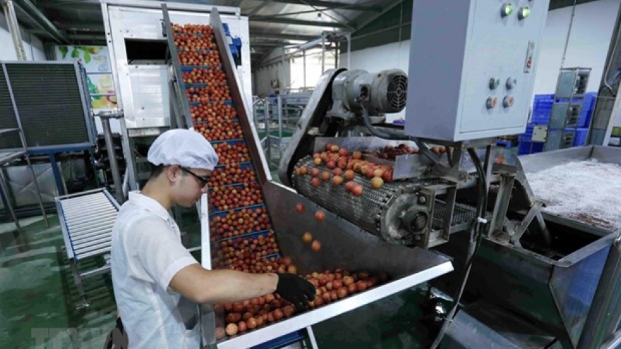 Vietnam targets US$10 billion from fruit, vegetable exports by 2030