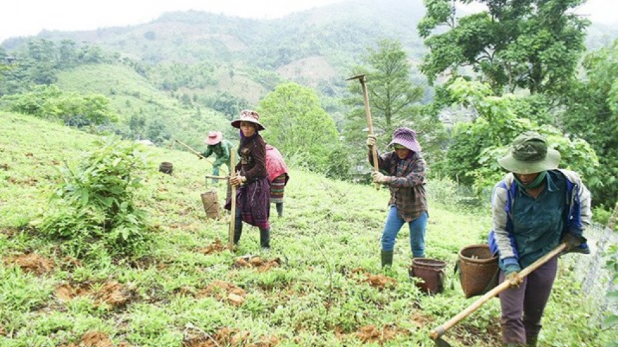 CARE International helps ethnic minorities in Ha Giang