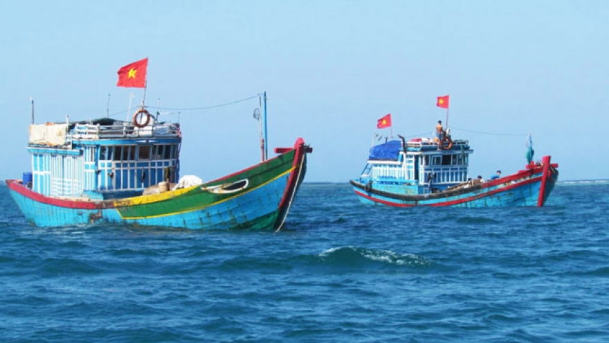 Vietnam participates in WTO negotiations on fisheries subsidies