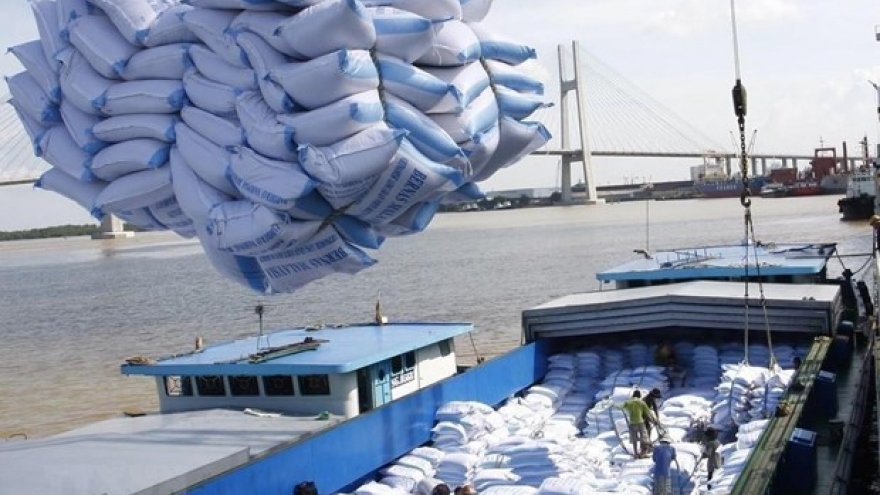 Rice exports to see bright outlook this year