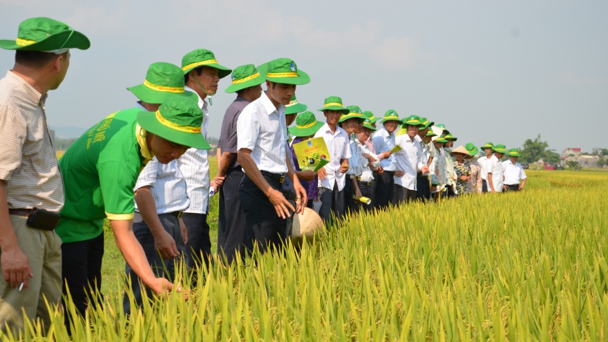 Tuổi 18 PVFCCo: Mùa hoa đẹp nhất!