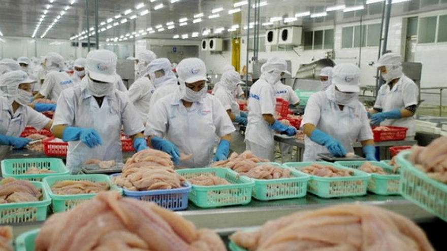 Pangasius exports to China suffer sharp drop