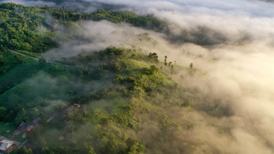 USAID launches environmental conservation projects in Vietnam