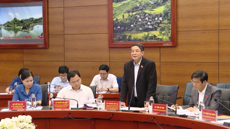 Phó Chủ tịch Quốc hội Nguyễn Đức Hải: Muốn tổ chức tốt bầu cử, trước hết phải an dân