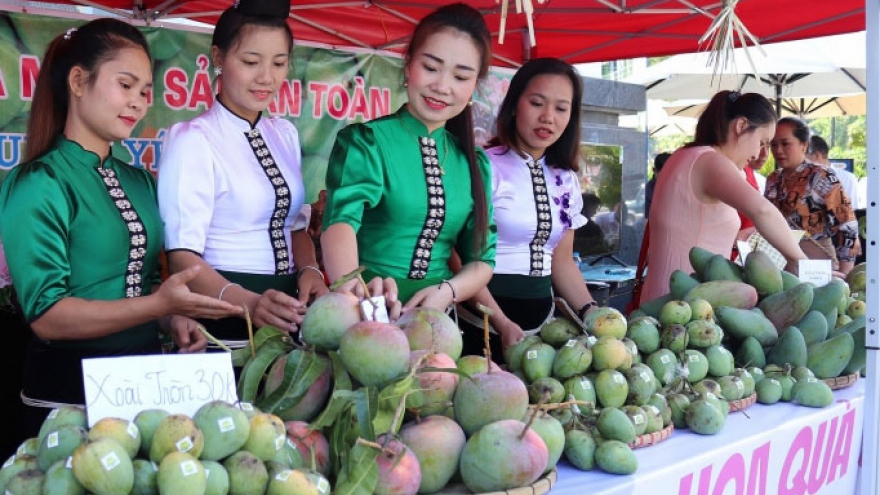 Mua bán đặc sản Sơn La trên sàn thương mại điện tử 