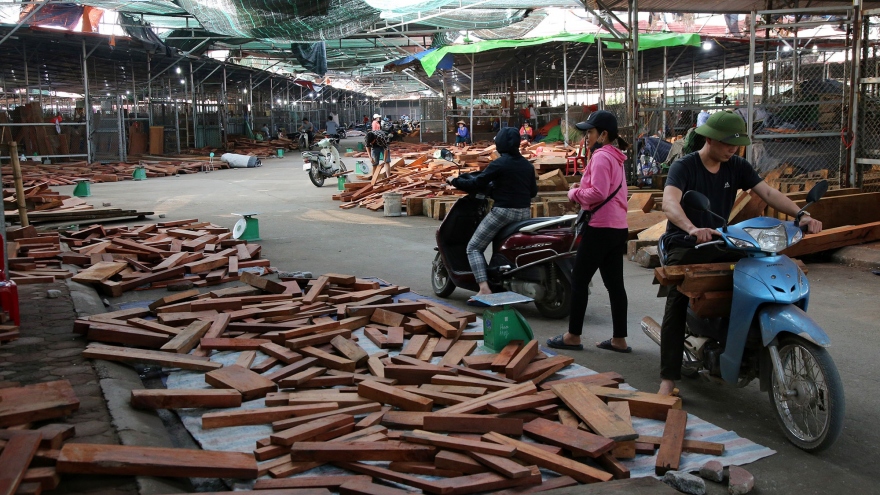 Chợ gỗ quý lớn nhất miền Bắc, hàng hóa trị giá cả trăm tỷ đồng