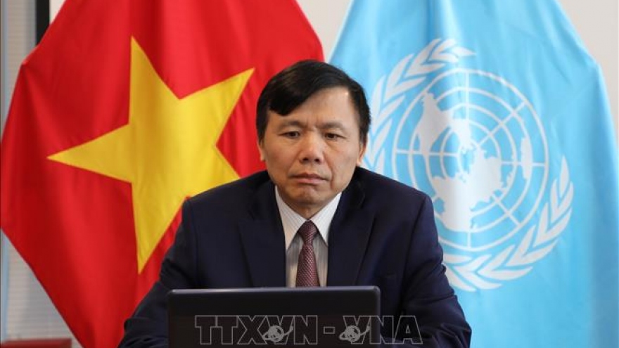 Vietnam chairs UNSC briefing on Kosovo 