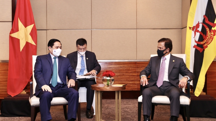 Vietnam, Brunei to expand all-round cooperation