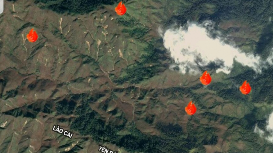 Kịp thời dập tắt đám cháy rừng tại Văn Bàn (Lào Cai)