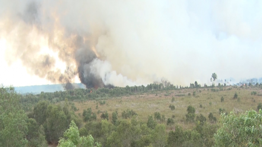 Kiên Giang điều tra nguyên nhân vụ cháy hàng chục hecta rừng tràm