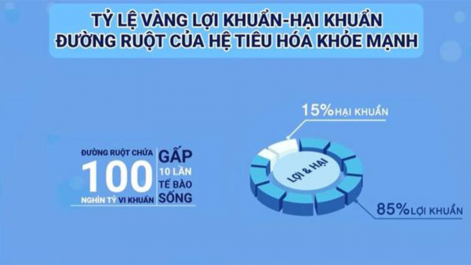 Cần làm gì để cân bằng hệ vi khuẩn đường ruột giúp hệ tiêu hóa khỏe mạnh