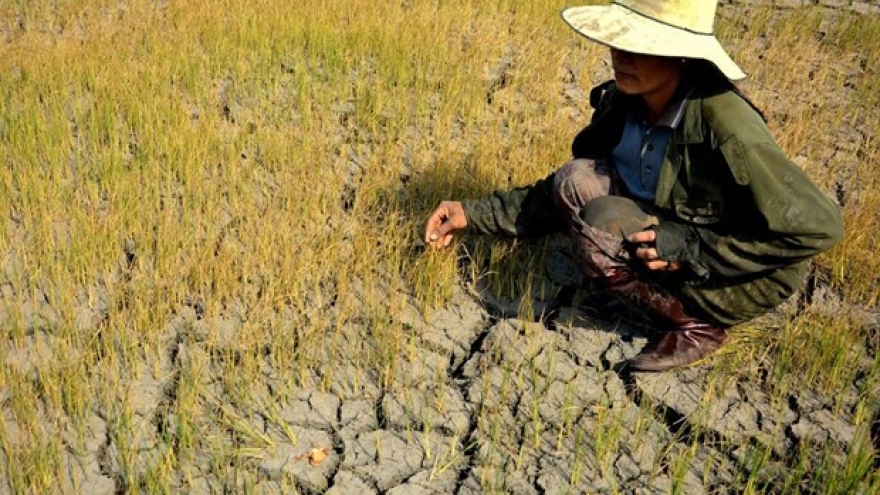 Vietnam promotes gender mainstreaming in climate change policies