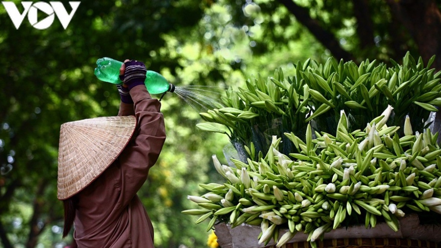 Thời tiết ngày 3/4: Cả nước có mưa, nhiệt độ giảm nhẹ