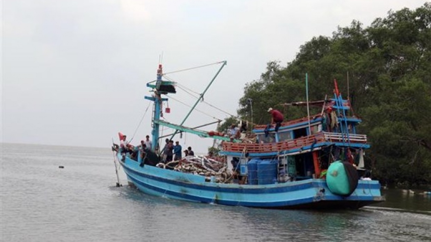 Kien Giang making every effort to fight IUU fishing