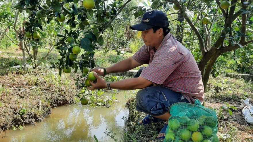 Tiền Giang-Bến Tre ứng phó với hạn mặn như thế nào?