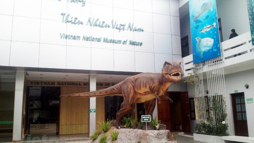 Vietnam National Museum of Nature - ideal destination for nature lovers and researchers