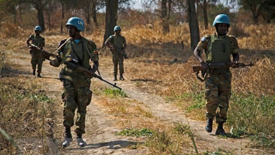 Vietnam urges peaceful solutions to Abyei issue