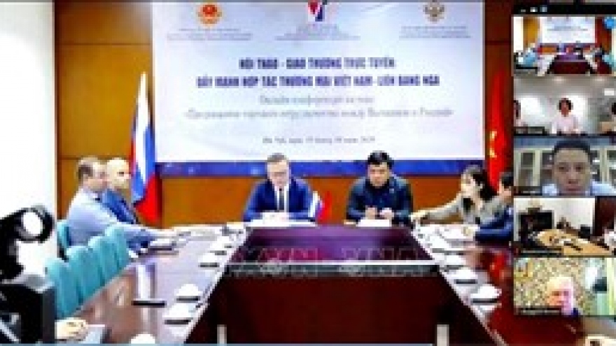Vietnamese market offers attractive prospects for Russian exporters: Russian official