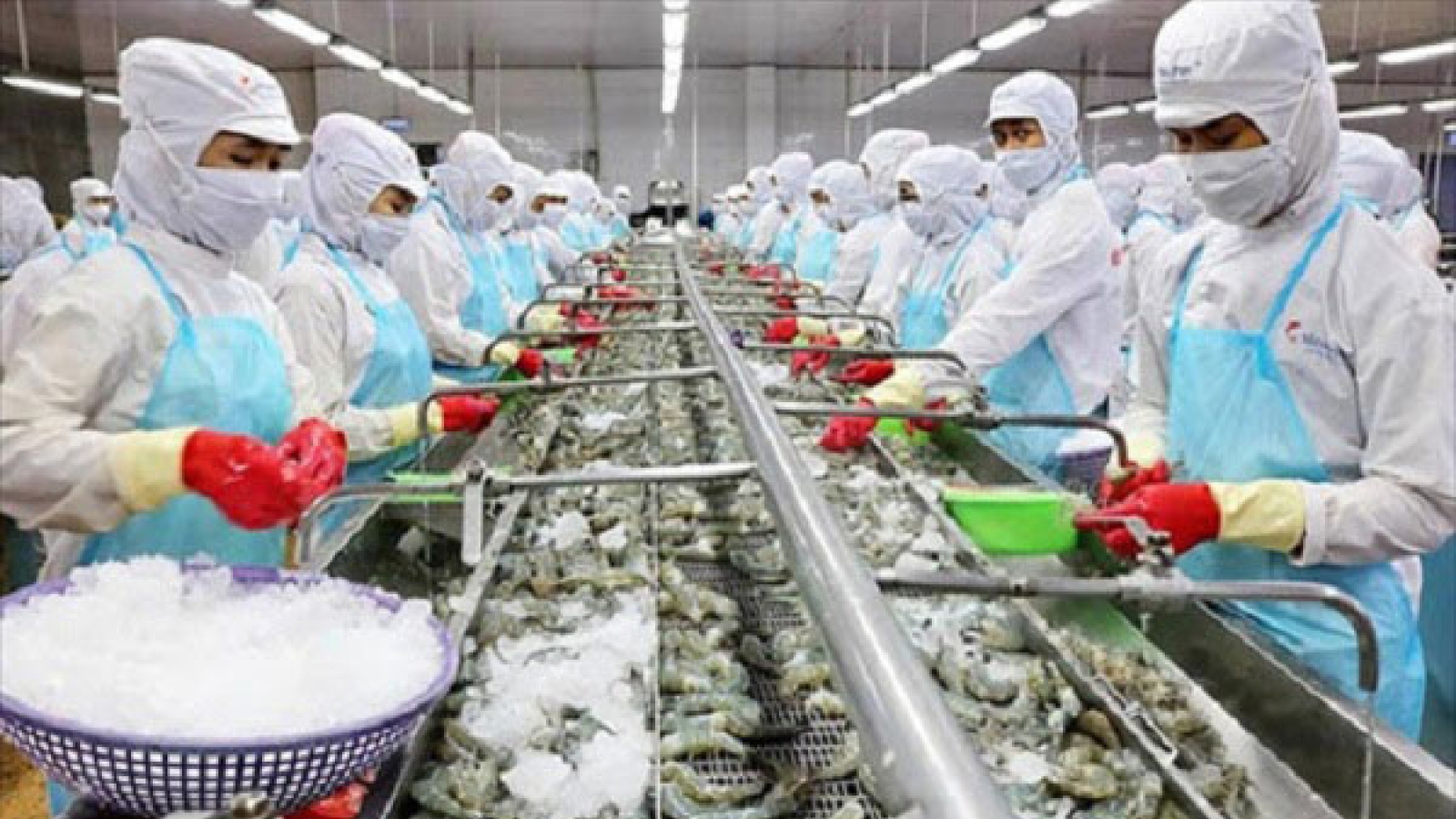 Xuất khẩu tăng cao trong dịch: Nỗ lực tăng trưởng từ nhiều ngành hàng
