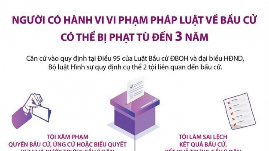 Người có hành vi vi phạm pháp luật về bầu cử có thể bị phạt tù