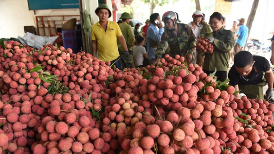 Không để nông sản tại vùng dịch ùn ứ