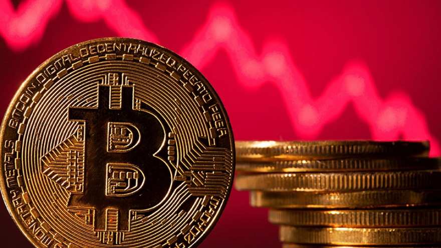 Một công ty gửi nhầm 701 bitcoin thay vì...701 USD