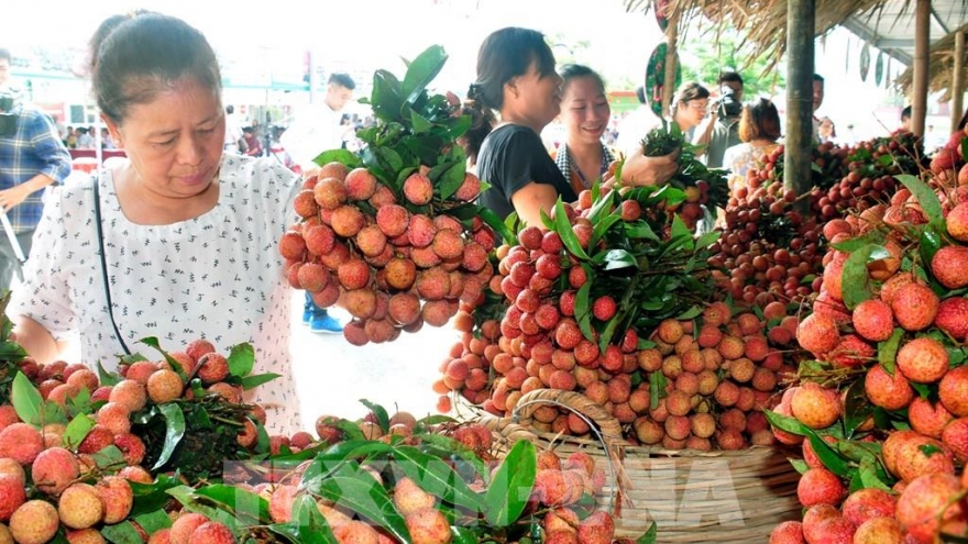 Bộ Công Thương yêu cầu tạo thuận lợi khi cấp C/O cho nông sản xuất khẩu