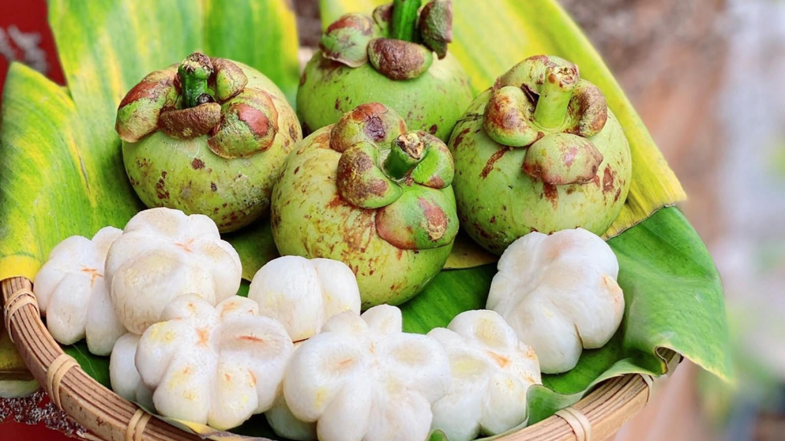 Đặc sản măng cụt xanh “sốt giá” ở Hà Nội 