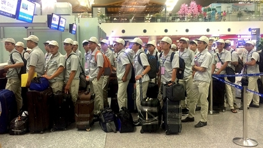 Vietnamese labour exports to Taiwan suspended until mid-June