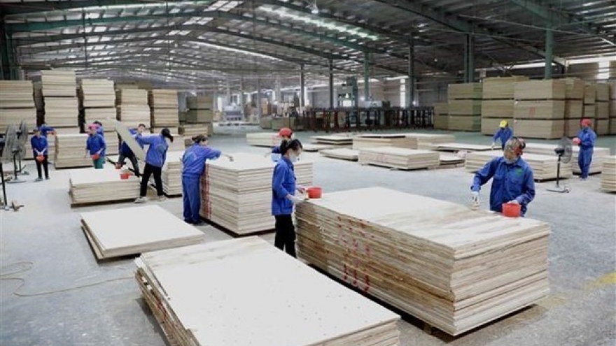COVID-19 makes nearly 10% of domestic firms lack capital: official