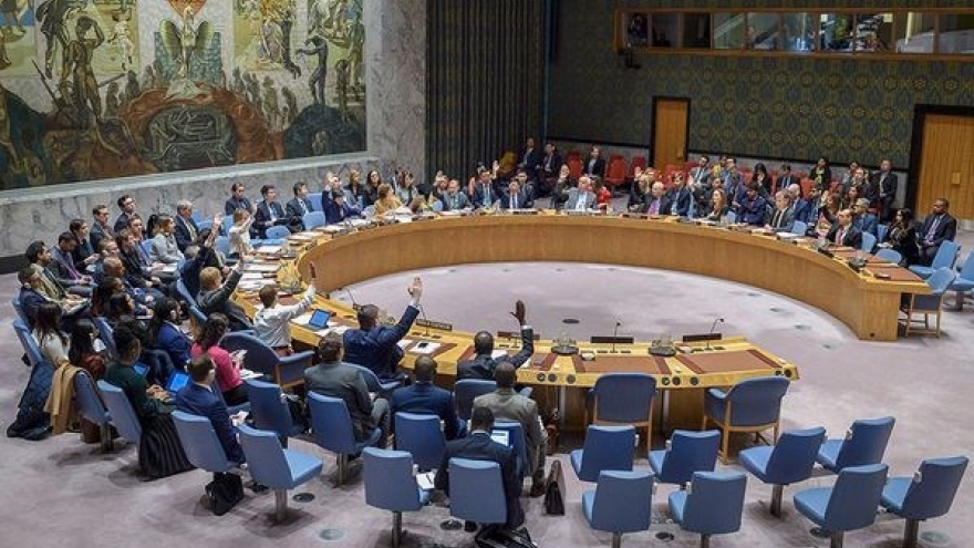 Presidency of UNSC in April marks a new milestone in Vietnam's diplomacy