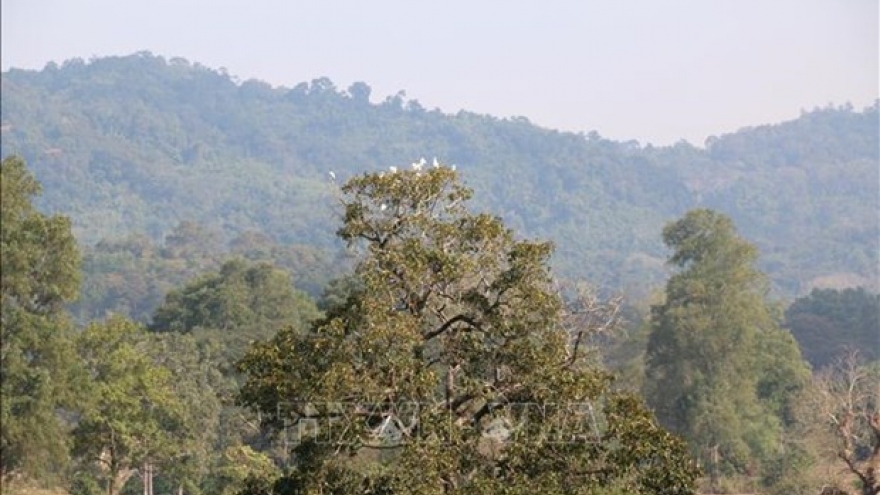 Localities urged to announce forest status in 2020